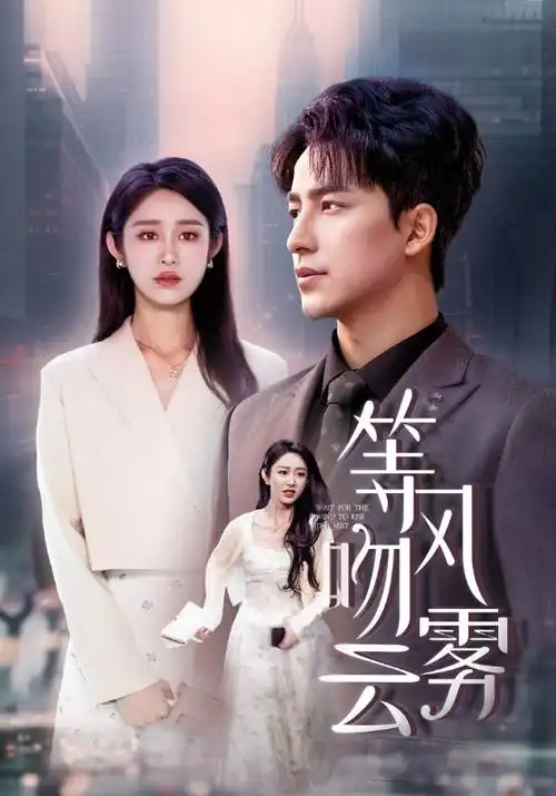 久久免费精品视频年代剧长街灯火海报